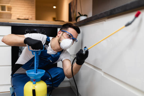 Best Pest Prevention Services  in Kaaawa, HI