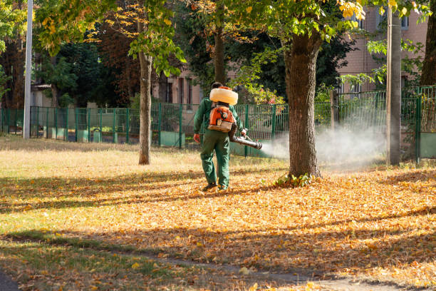 Best Wasp Removal Services  in Kaaawa, HI
